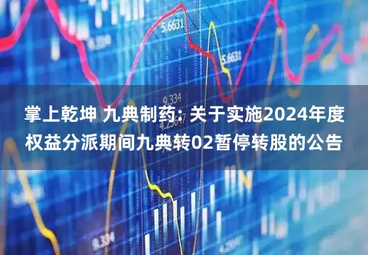 掌上乾坤 九典制药: 关于实施2024年度权益分派期间九典转02暂停转股的公告