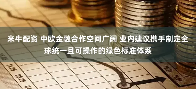 米牛配资 中欧金融合作空间广阔 业内建议携手制定全球统一且可操作的绿色标准体系