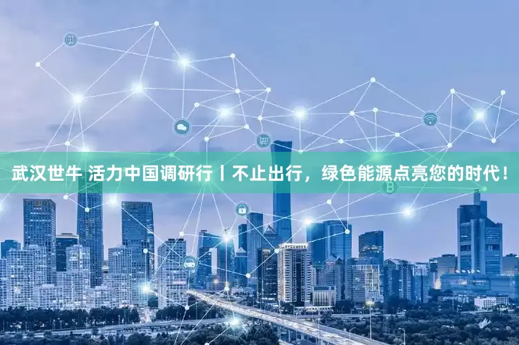 武汉世牛 活力中国调研行丨不止出行，绿色能源点亮您的时代！