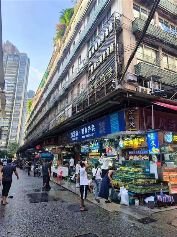 道正网 打造海鲜文化体验新地标！广州黄沙水产市场原址升级计划启动